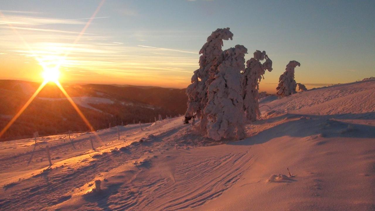 La Petite Perle Holiday home Gerardmer