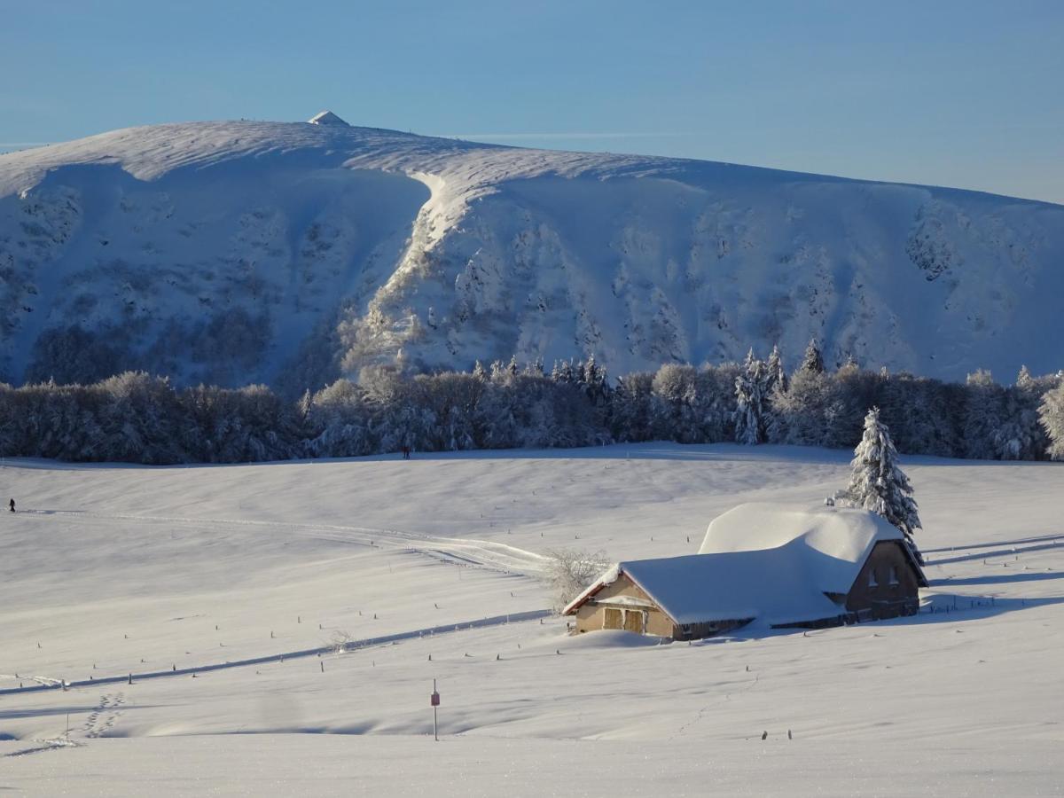 La Petite Perle Holiday home *