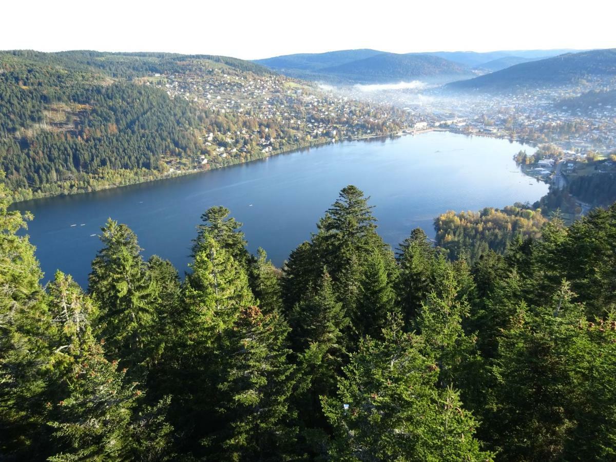 La Petite Perle Holiday home Gerardmer