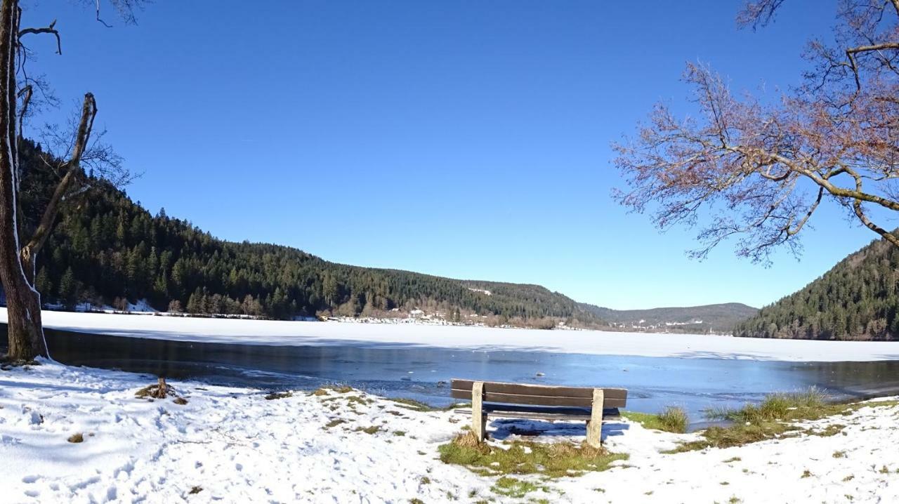 La Petite Perle Holiday home Gerardmer